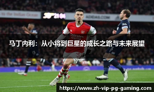 马丁内利:从小将到巨星的成长之路与未来展望